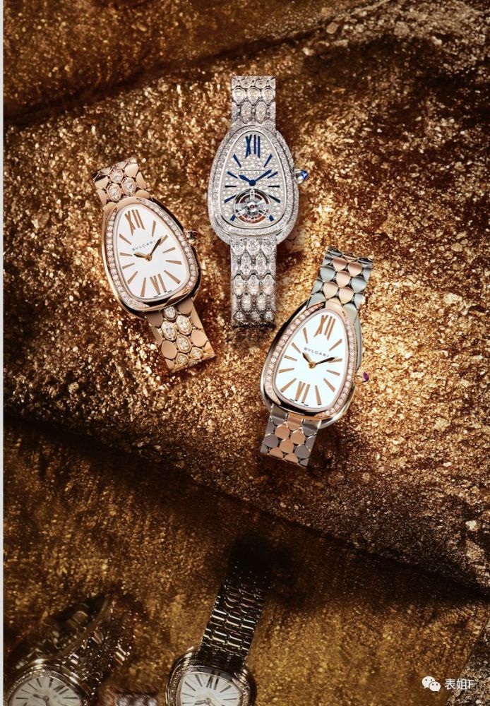 购买手表相册｜宝格丽、真力士、豪雅和宇博手表。您从这四个品牌购买什么？